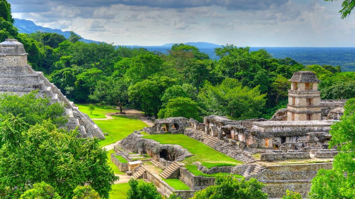 The Top 5 Locations In Central America For Observing Wildlife