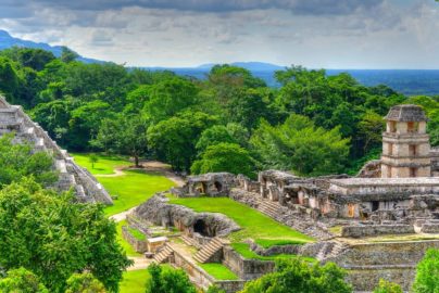 The Top 5 Locations In Central America For Observing Wildlife