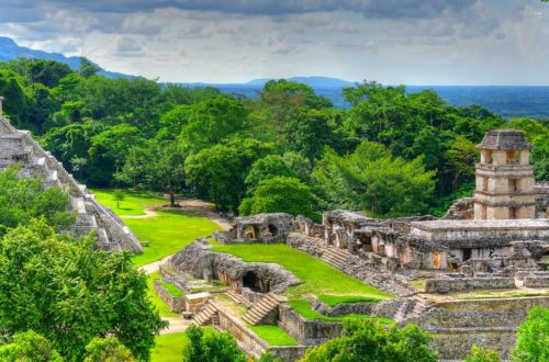 The Top 5 Locations In Central America For Observing Wildlife